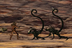 AOA體育手機app下載截圖