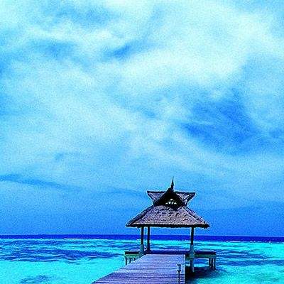 火狐體育APP手機app下載