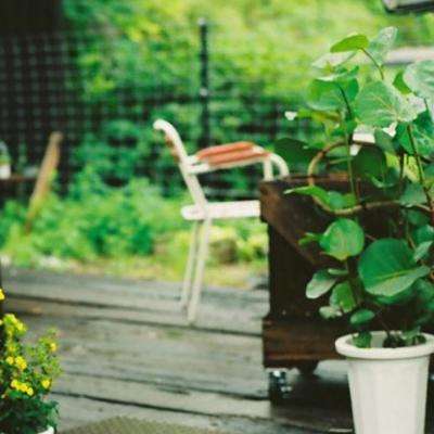 百人牛牛游戲軟件手機app下載