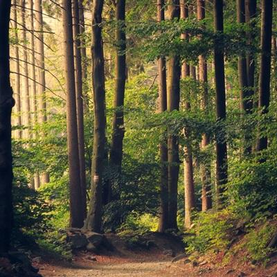 江南體育app下載方式