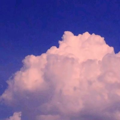 beat365手機版客戶端截圖