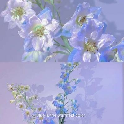 江南全站登錄手機app下載