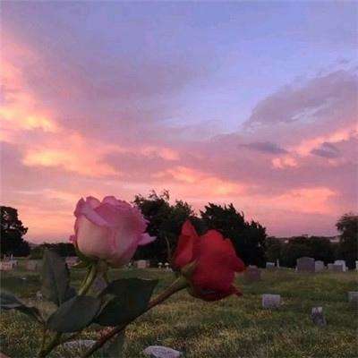 28網站下載手機版