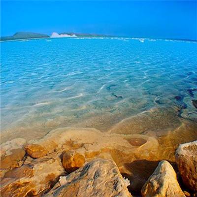 加拿大pc軟件平臺app下載