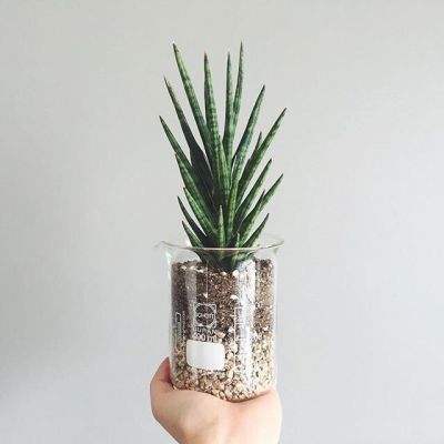 打魚下載下載手機版