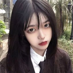 九龍澳門下載截圖