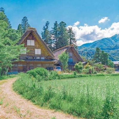 樂魚彩票官網app下載