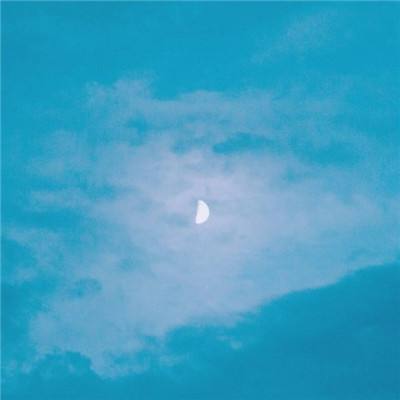 196體育軟件下載