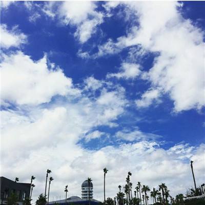 beat365app下載截圖