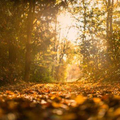 火狐官方網站手機app下載截圖