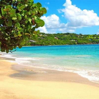 leyu·樂魚(中國)體育官方網站app下載