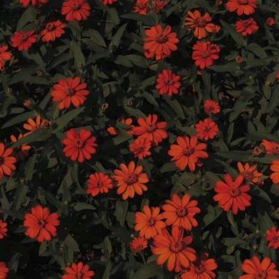 九游會agapp下載