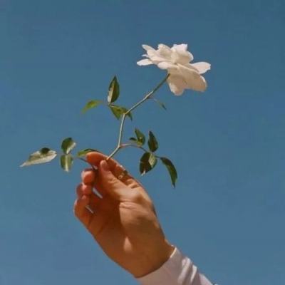 天成彩票APP下載