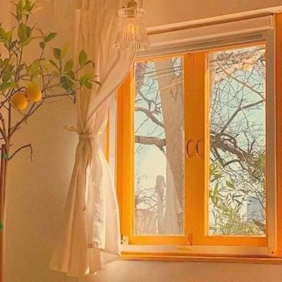 kaiyun體育全站app下載