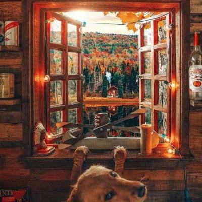 博魚綜合體育在線登錄入口