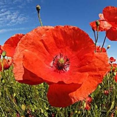 江南app下載官網