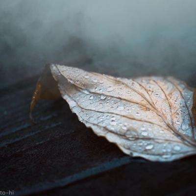 澳門威斯尼斯WNS888入口手機app下載