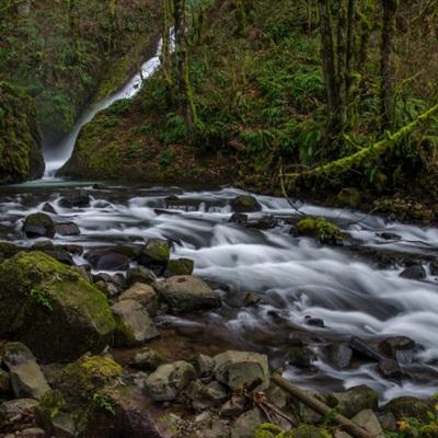 火狐app最新登錄