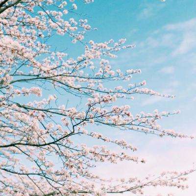 百姓彩票手機app下載