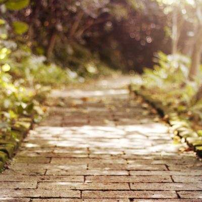 奇異果體育下載手機版