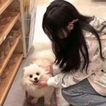 bob·體育綜合app